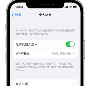 平阴apple服务站点分享iPhone上个人热点丢失了怎么办 