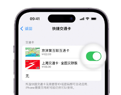 平阴apple维修点分享iPhone上更换Apple Pay快捷交通卡手绘卡面 