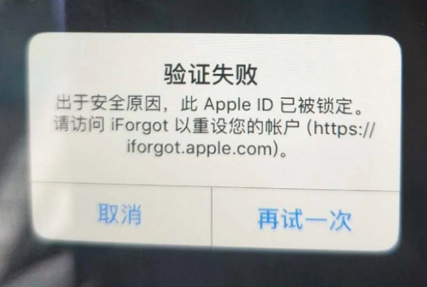 平阴iPhone维修分享iPhone上正常登录或使用AppleID怎么办 