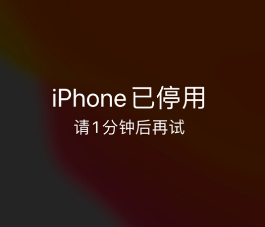 平阴苹果手机维修分享:iPhone 显示“不可用”或“已停用”怎么办？还能保留数据吗？ 