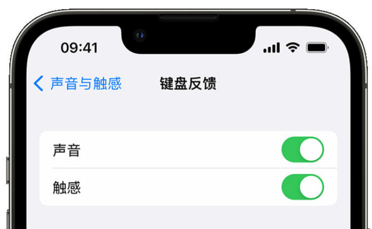 平阴苹果手机维修分享iPhone 14触感键盘使用方法 