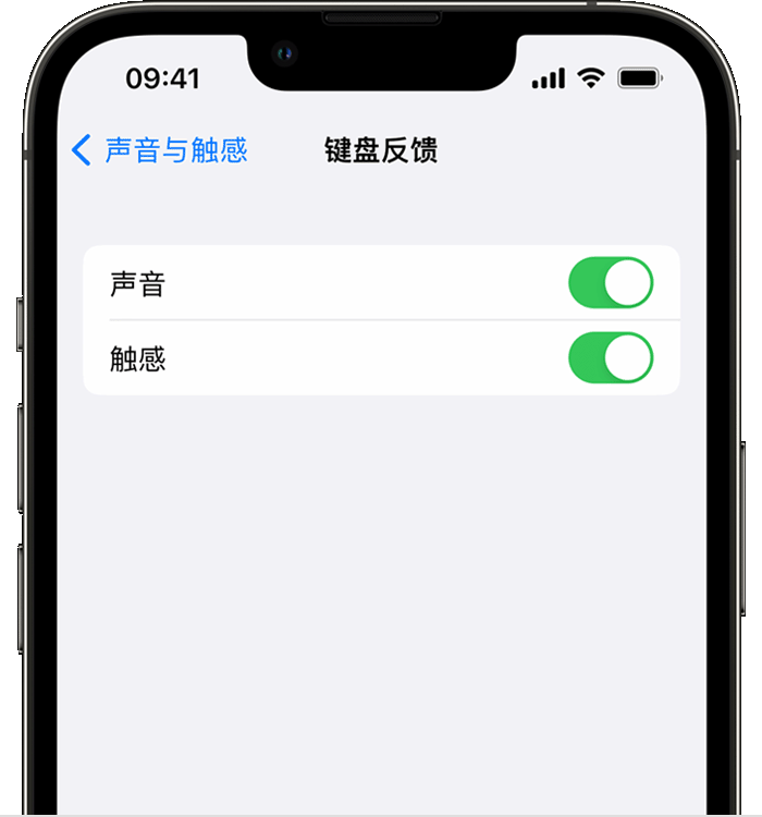 平阴苹果14维修店分享如何在 iPhone 14 机型中使用触感键盘 