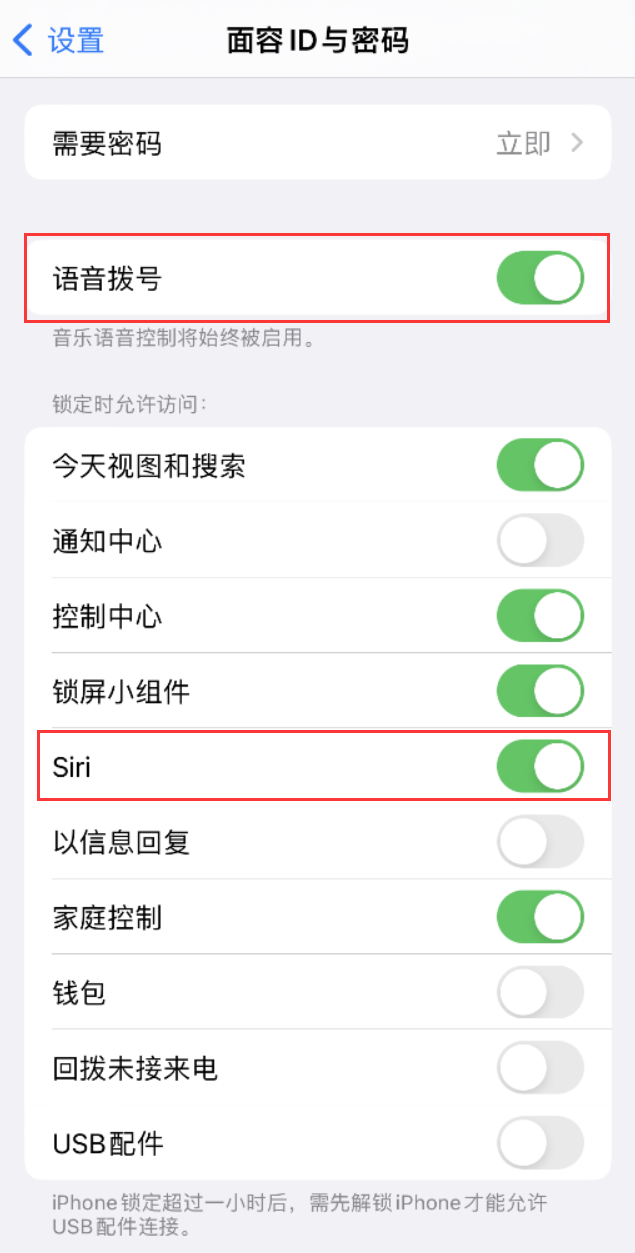 平阴苹果维修网点分享不解锁 iPhone 的情况下通过 Siri 拨打电话的方法 