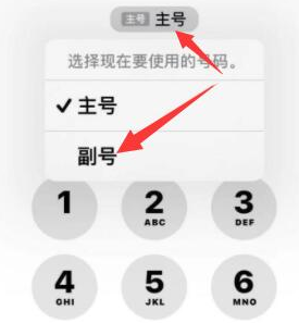 平阴苹果14维修店分享iPhone 14 Pro Max使用副卡打电话的方法 