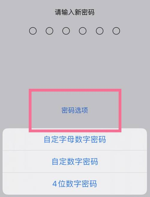 平阴苹果14维修分享iPhone 14plus设置密码的方法 