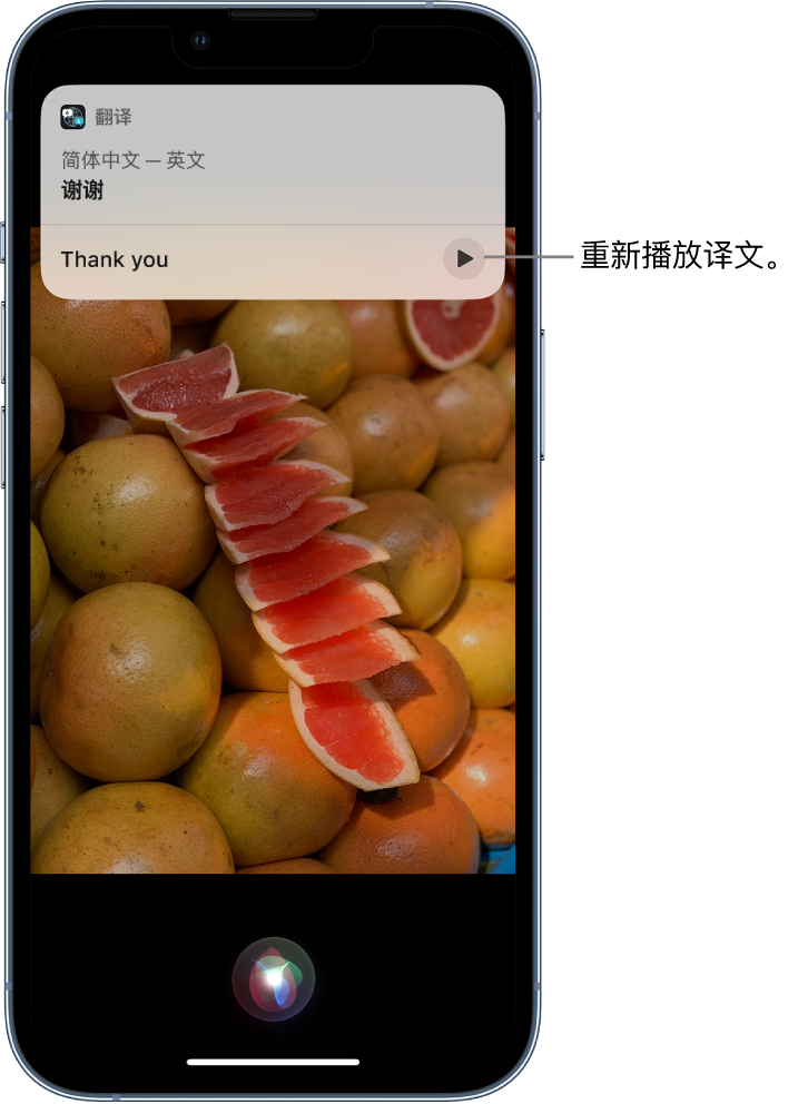 平阴苹果14维修分享 iPhone 14 机型中使用 Siri：了解 Siri 能帮你做什么 