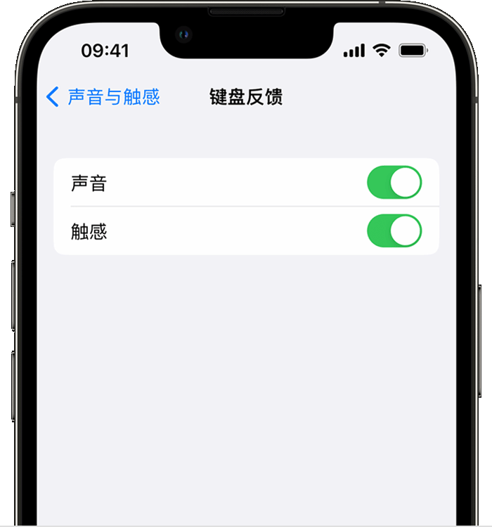 平阴苹果14维修分享iPhone 14 系列机型如何开启键盘声音或触感反馈 
