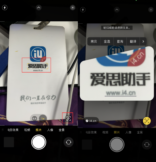 平阴苹果手机维修分享升级iOS 16后如何通过相机翻译文本 