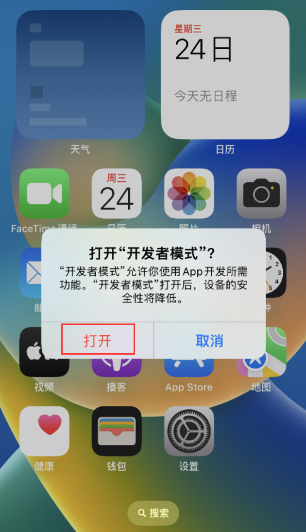 平阴苹果手机维修分享如何打开开发者模式 