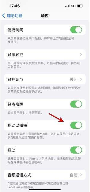 平阴苹果手机维修分享iPhone手机如何设置摇一摇删除文字 