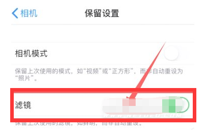 平阴苹果13维修分享iPhone13拍照有绿点是怎么回事 