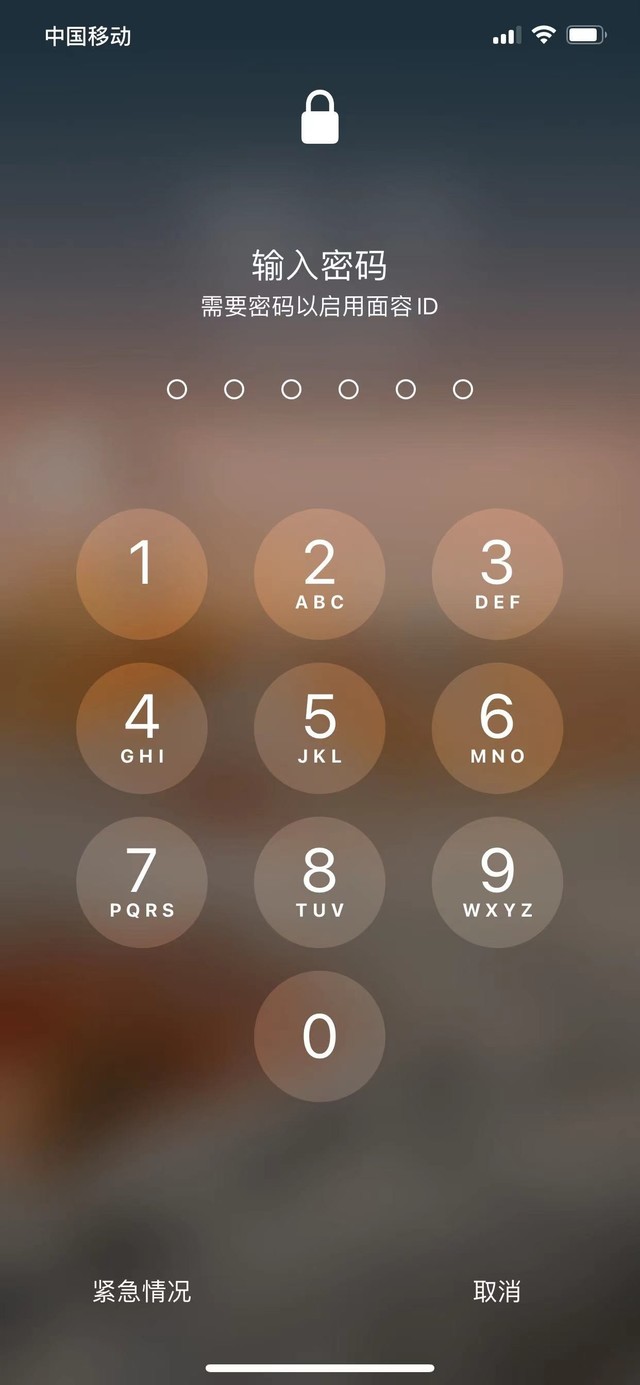 平阴苹果13维修分享iPhone 13加强锁屏功能有什么用 