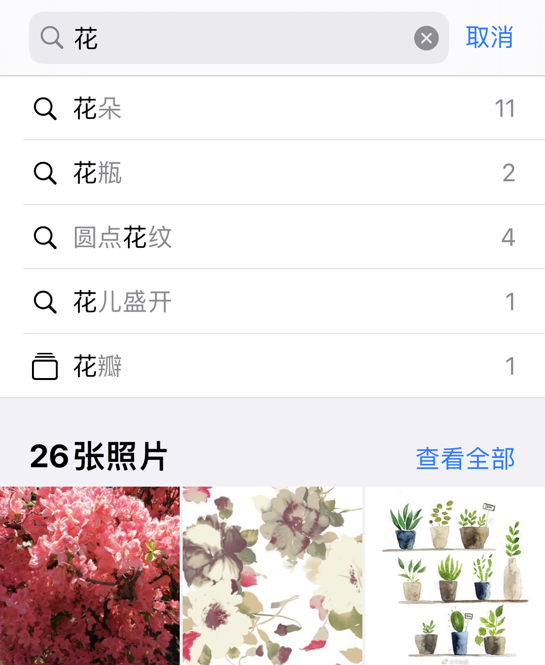 平阴苹果手机维修分享iPhone 小技巧 
