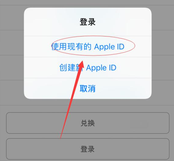 平阴苹果手机维修分享两台iPhone设备可以同时登录一个Apple ID吗 