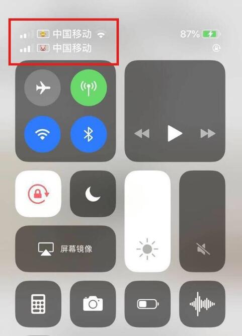 平阴苹果手机维修分享为 iPhone 12 双卡设置标签 